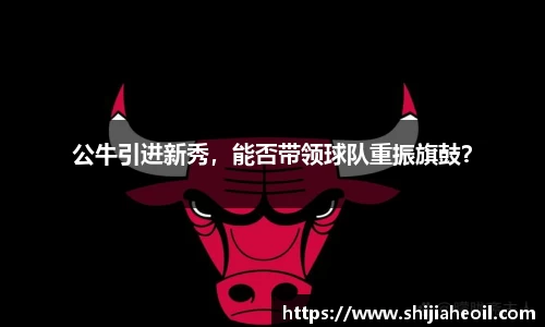 公牛引进新秀，能否带领球队重振旗鼓？