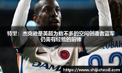 特里：杰克逊是英超为数不多的空间创造者蓝军仍需有经验的前锋