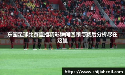 东园足球比赛直播精彩瞬间回顾与赛后分析尽在这里