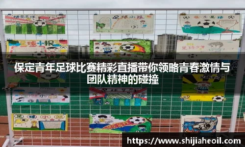 保定青年足球比赛精彩直播带你领略青春激情与团队精神的碰撞