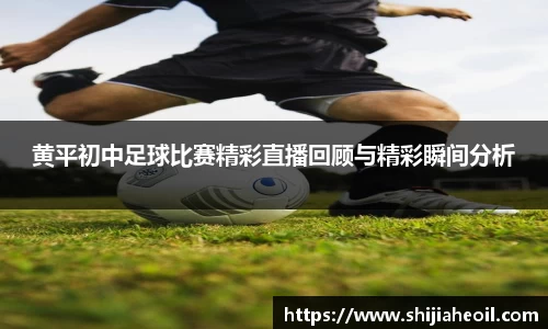辉达平台娱乐