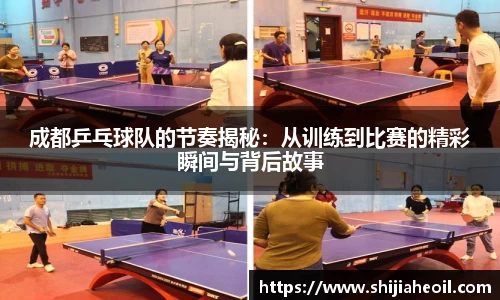 成都乒乓球队的节奏揭秘：从训练到比赛的精彩瞬间与背后故事