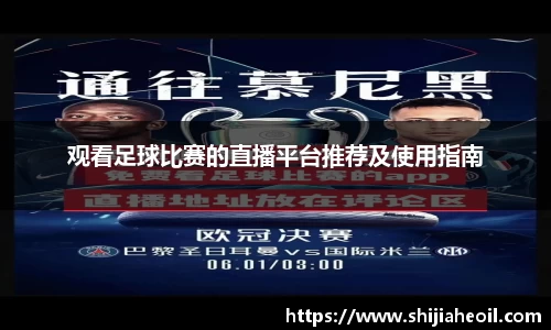 观看足球比赛的直播平台推荐及使用指南