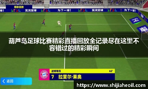 辉达娱乐官网