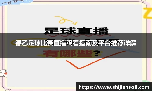 德乙足球比赛直播观看指南及平台推荐详解