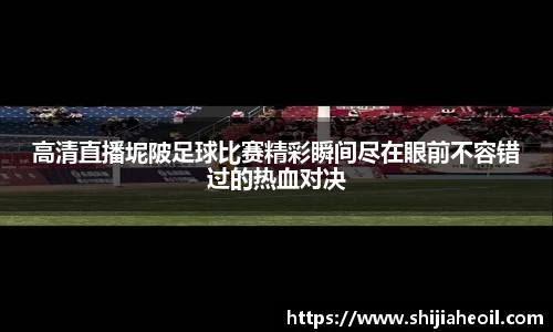  辉达娱乐官网